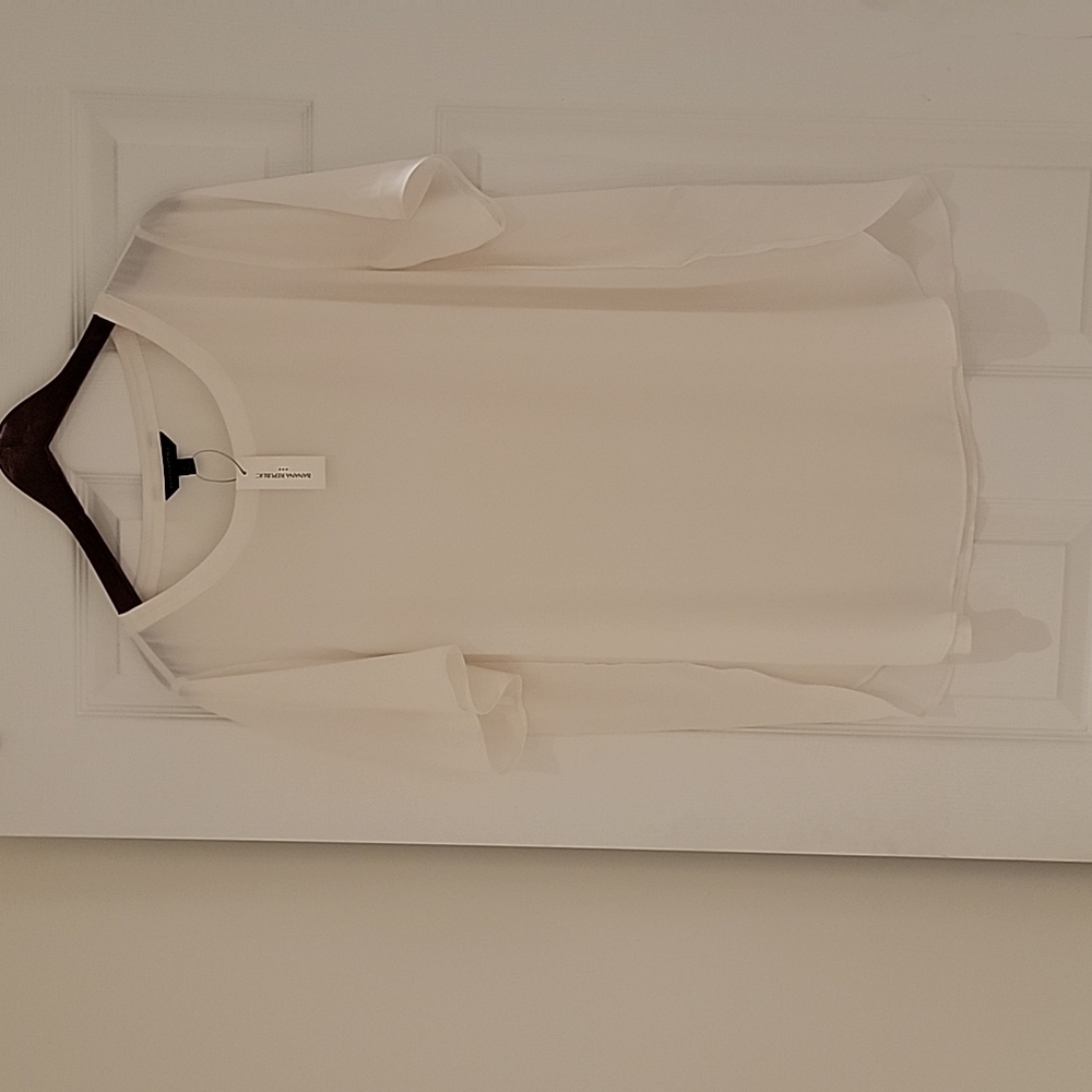 Snow white sheer blouse